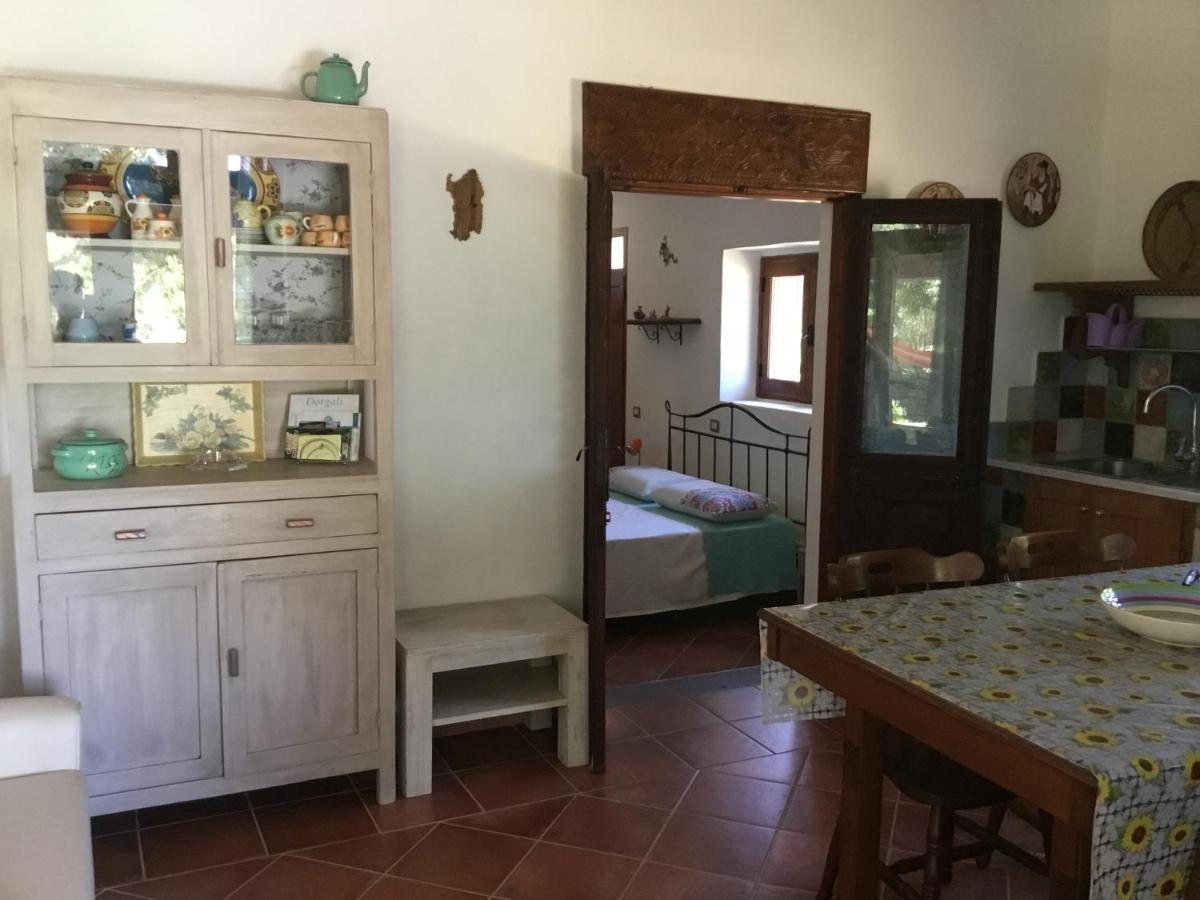 Su Saucu Villa Dorgali Exterior photo